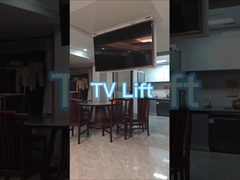 Remote Control Telescopic Hanger for Convenient and Easy Operation of Ceiling TV Flipper